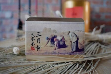 大麥茶[鐵盒]
